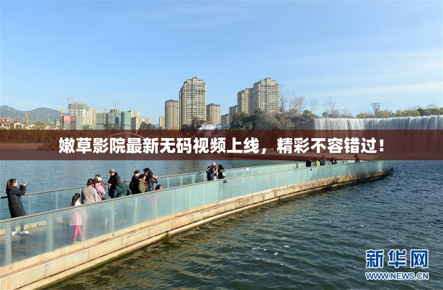 嫩草影院最新无码视频上线，精彩不容错过！