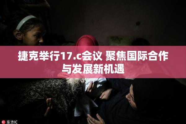 捷克举行17.c会议 聚焦国际合作与发展新机遇