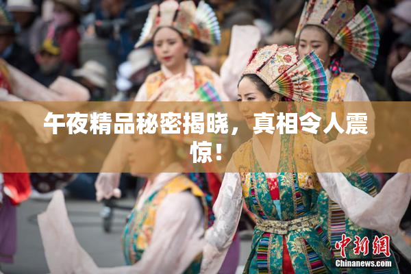 午夜精品秘密揭晓，真相令人震惊！