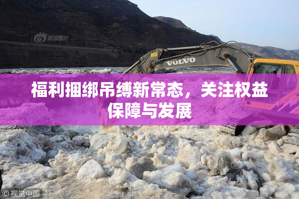 福利捆绑吊缚新常态，关注权益保障与发展