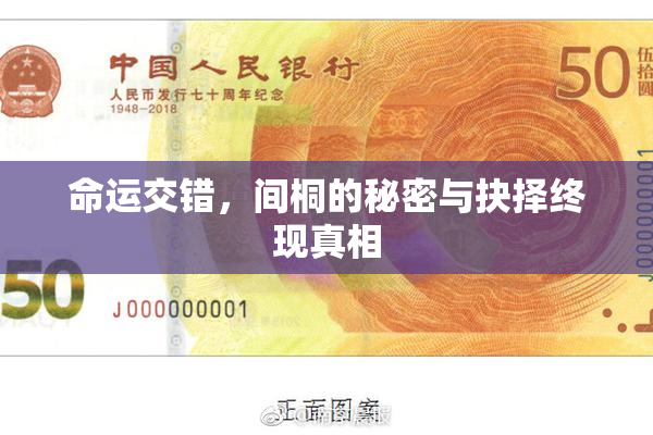 命运交错，间桐的秘密与抉择终现真相