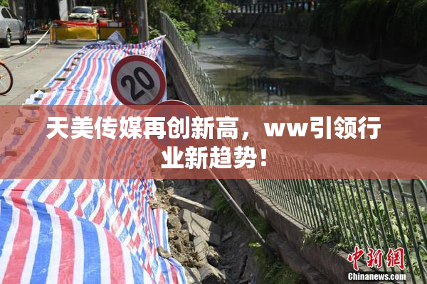 天美传媒再创新高，ww引领行业新趋势！