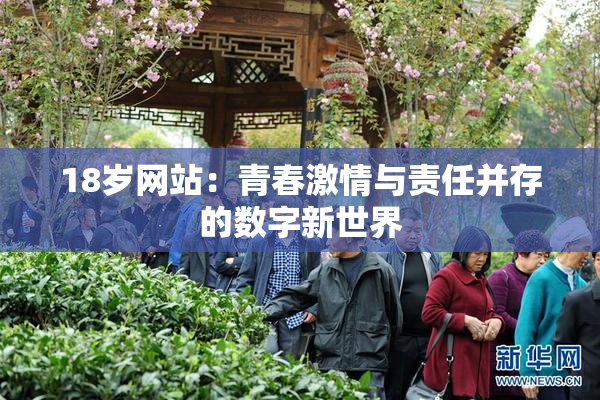 18岁网站：青春激情与责任并存的数字新世界