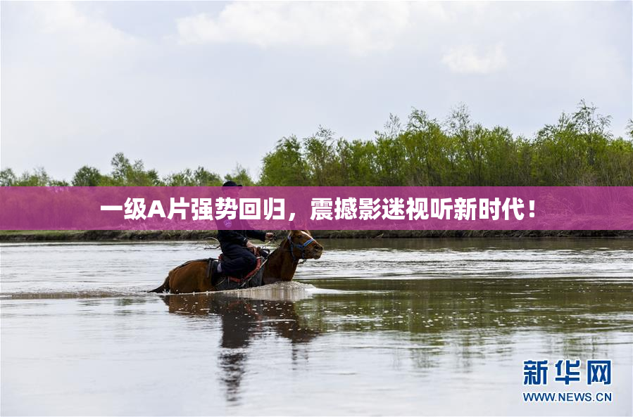 一级A片强势回归，震撼影迷视听新时代！