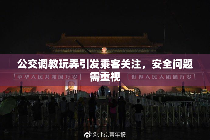 公交调教玩弄引发乘客关注，安全问题需重视