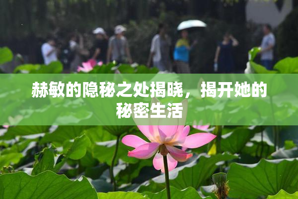 赫敏的隐秘之处揭晓，揭开她的秘密生活