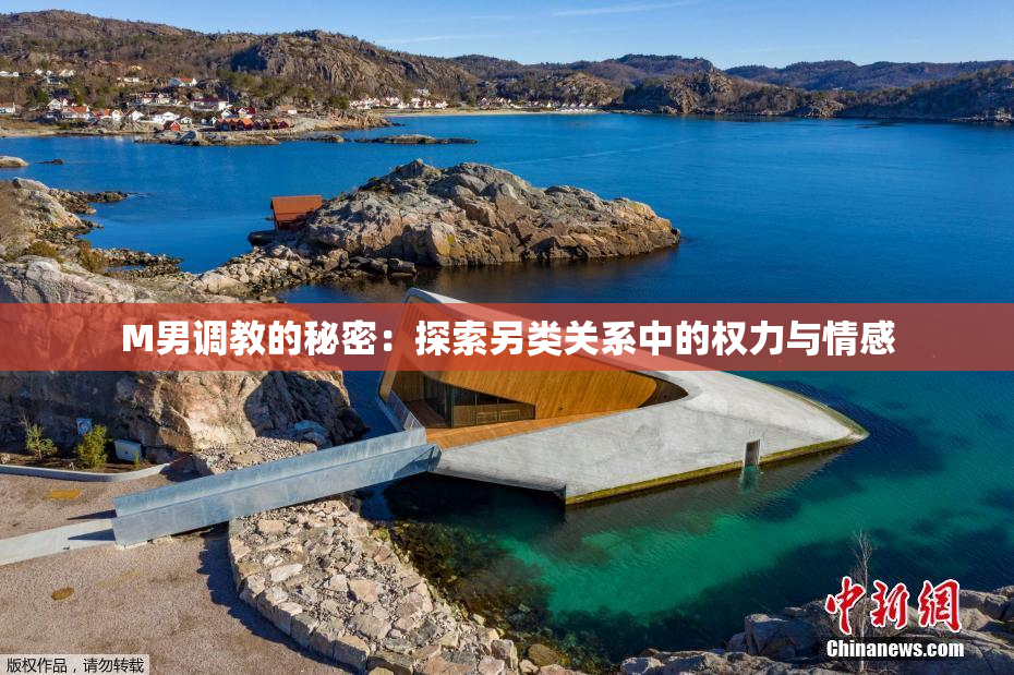 M男调教的秘密：探索另类关系中的权力与情感