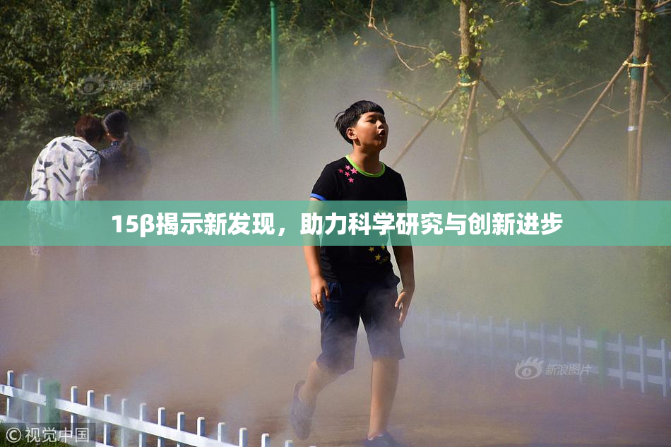 15β揭示新发现，助力科学研究与创新进步