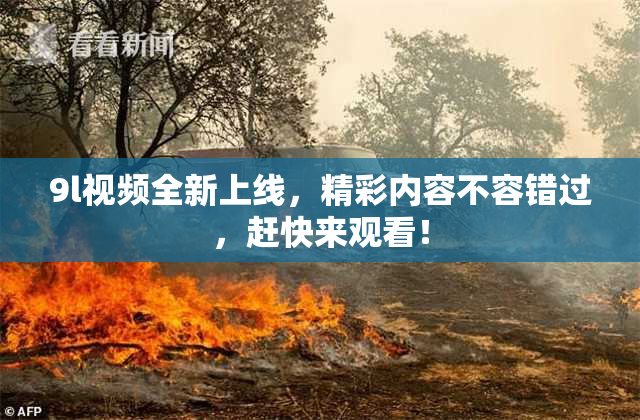 9l视频全新上线，精彩内容不容错过，赶快来观看！