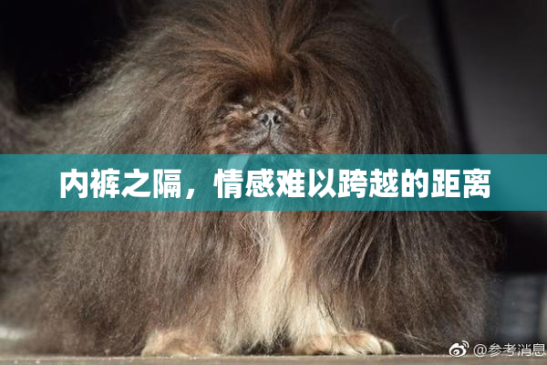 内裤之隔，情感难以跨越的距离