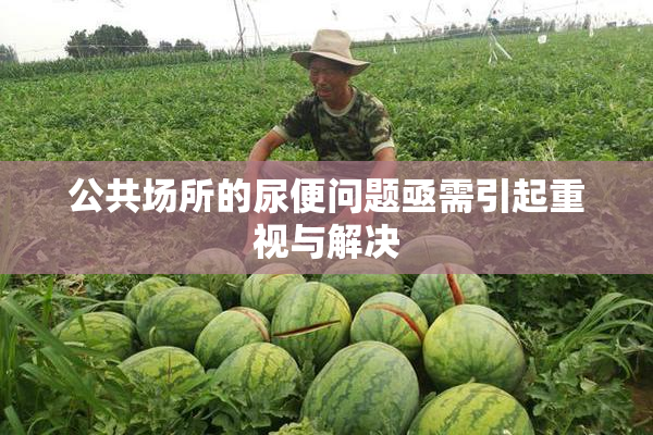 公共场所的尿便问题亟需引起重视与解决