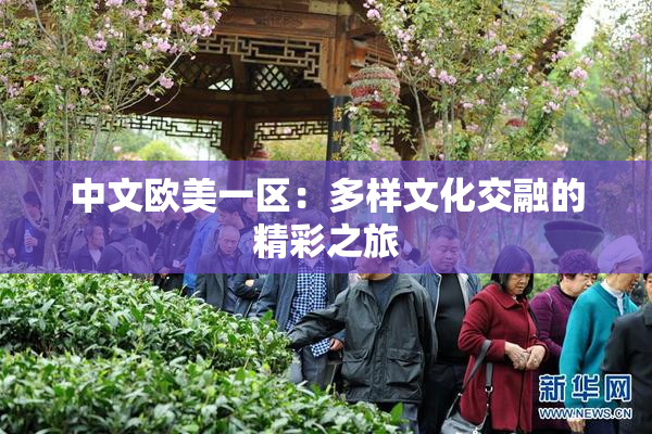 中文欧美一区：多样文化交融的精彩之旅