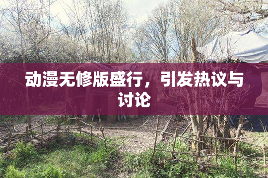 动漫无修版盛行，引发热议与讨论