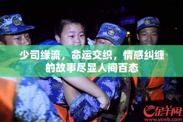 少司缘流，命运交织，情感纠缠的故事尽显人间百态