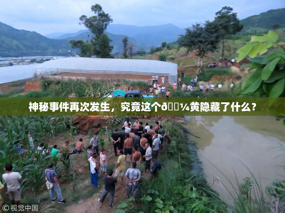 神秘事件再次发生，究竟这个🌼黄隐藏了什么？