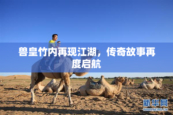 兽皇竹内再现江湖，传奇故事再度启航