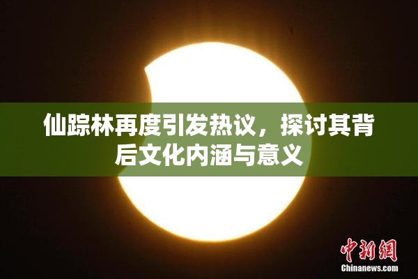 仙踪林再度引发热议，探讨其背后文化内涵与意义