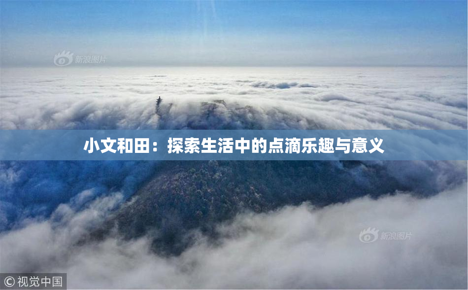 小文和田：探索生活中的点滴乐趣与意义