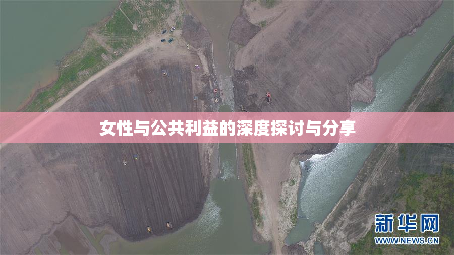 女性与公共利益的深度探讨与分享
