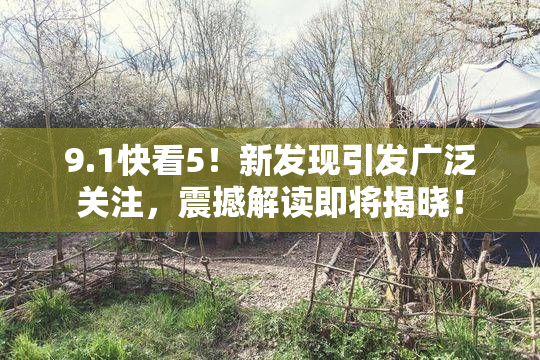 9.1快看5！新发现引发广泛关注，震撼解读即将揭晓！