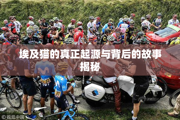 埃及猫的真正起源与背后的故事揭秘