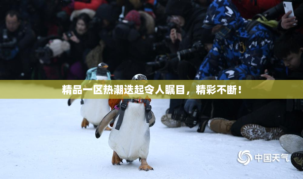 精品一区热潮迭起令人瞩目，精彩不断！