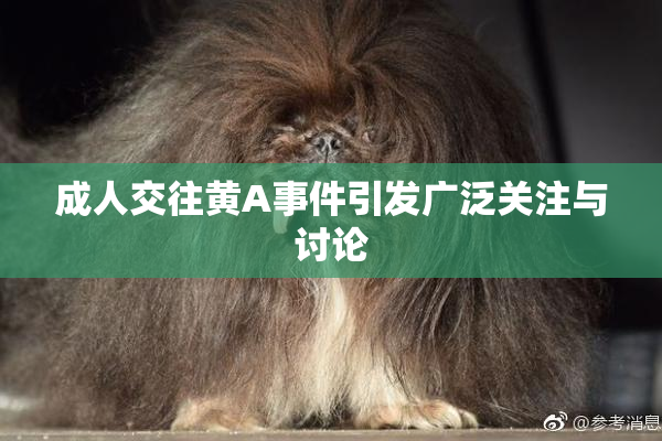 成人交往黄A事件引发广泛关注与讨论