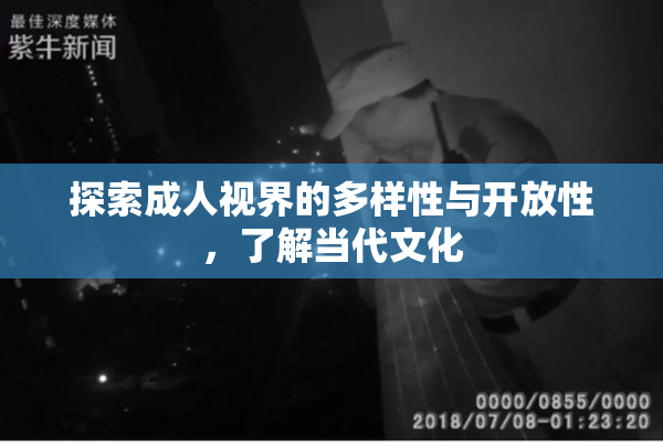 探索成人视界的多样性与开放性，了解当代文化