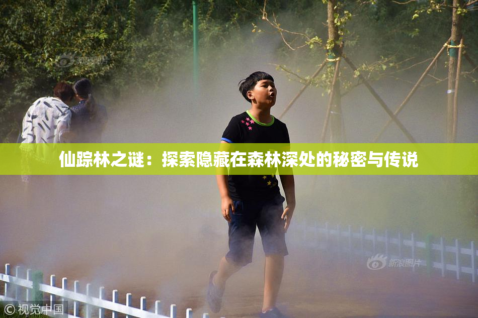仙踪林之谜：探索隐藏在森林深处的秘密与传说