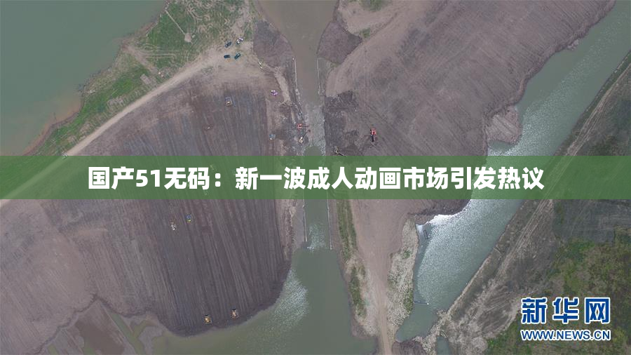 国产51无码：新一波成人动画市场引发热议