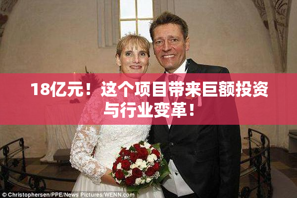 18亿元！这个项目带来巨额投资与行业变革！