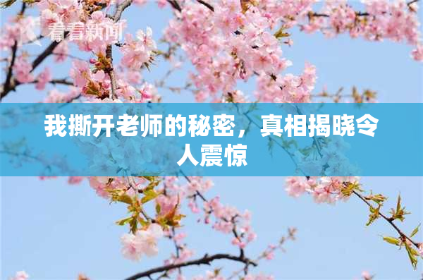 我撕开老师的秘密，真相揭晓令人震惊