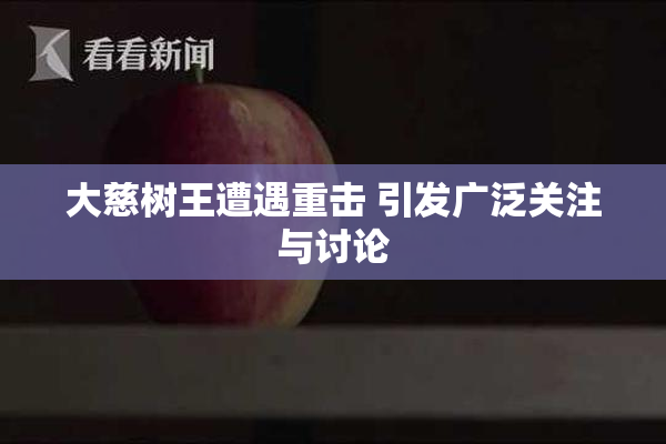 大慈树王遭遇重击 引发广泛关注与讨论