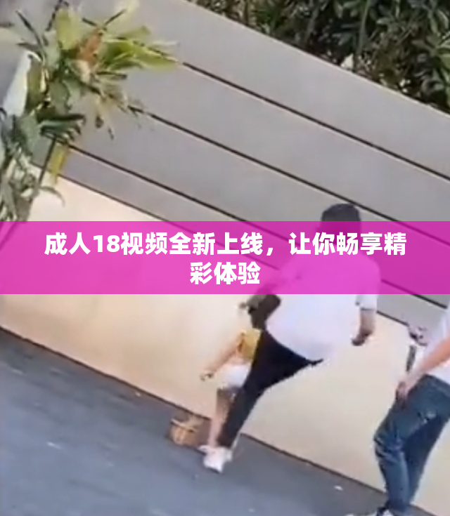 成人18视频全新上线，让你畅享精彩体验