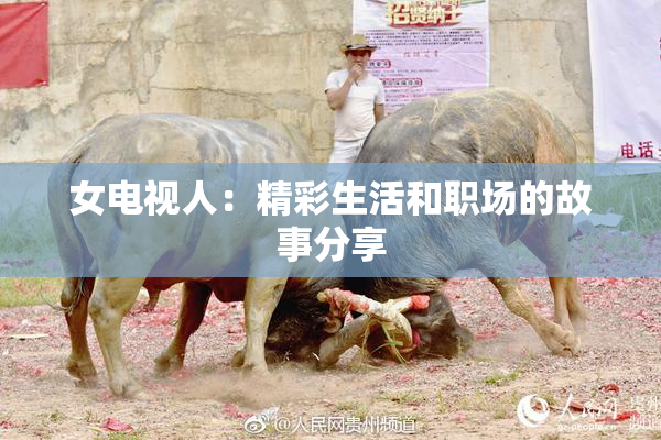 女电视人：精彩生活和职场的故事分享