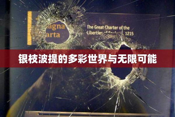 银枝波提的多彩世界与无限可能
