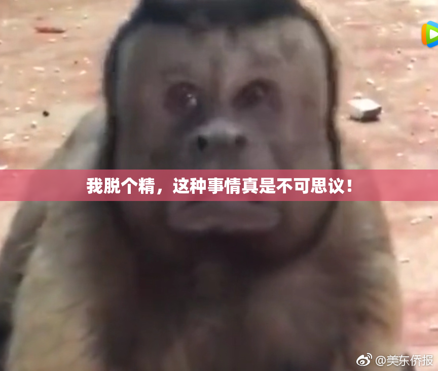 我脱个精，这种事情真是不可思议！