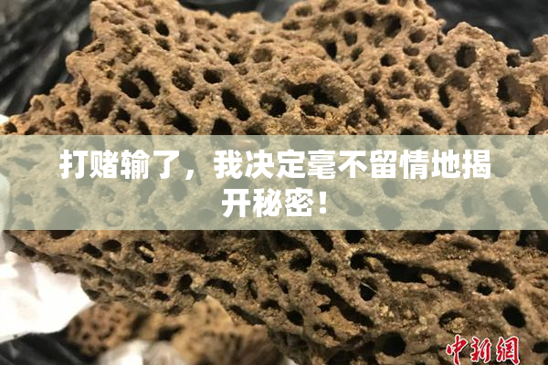 打赌输了，我决定毫不留情地揭开秘密！