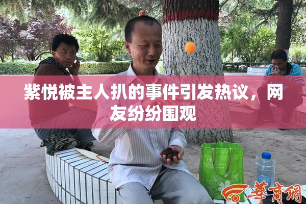 紫悦被主人扒的事件引发热议，网友纷纷围观