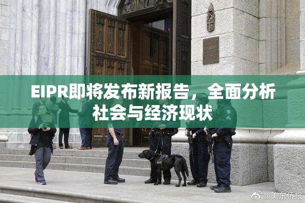 EIPR即将发布新报告，全面分析社会与经济现状