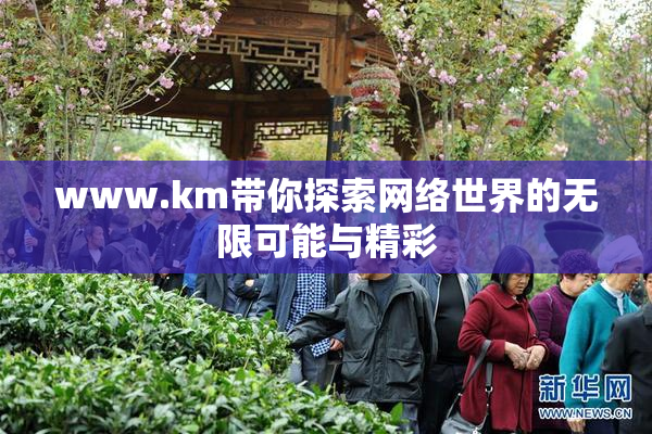 www.km带你探索网络世界的无限可能与精彩