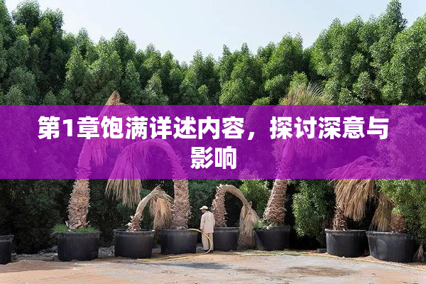 第1章饱满详述内容，探讨深意与影响