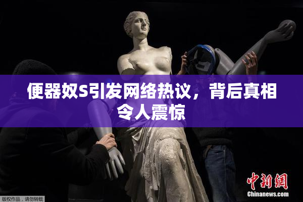便器奴S引发网络热议，背后真相令人震惊