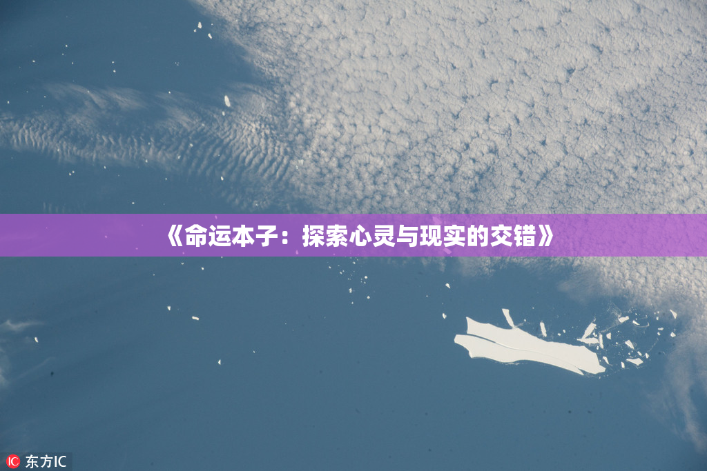 《命运本子：探索心灵与现实的交错》