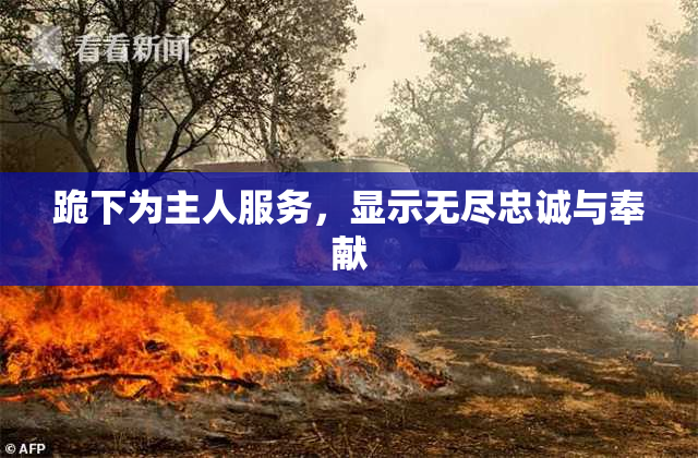 跪下为主人服务，显示无尽忠诚与奉献