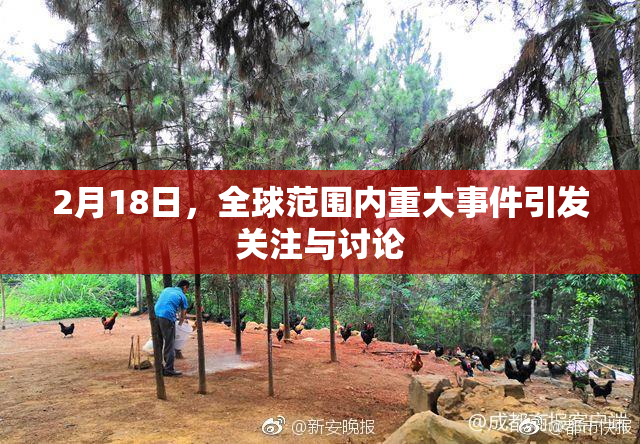 2月18日，全球范围内重大事件引发关注与讨论