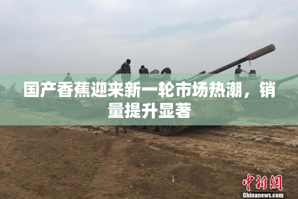 国产香蕉迎来新一轮市场热潮，销量提升显著