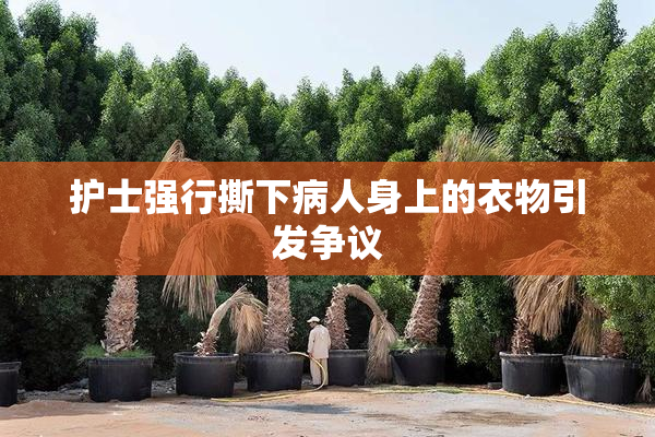 护士强行撕下病人身上的衣物引发争议