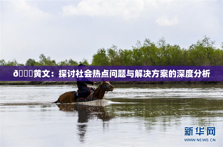 🔞黄文：探讨社会热点问题与解决方案的深度分析