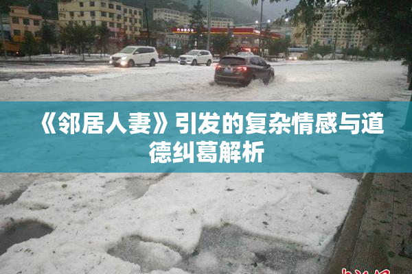 《邻居人妻》引发的复杂情感与道德纠葛解析